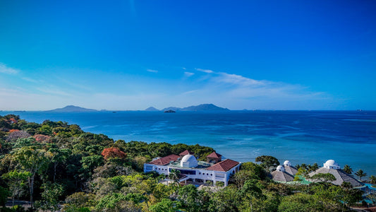 Not Just a Trip: How Your Next Luxury Getaway Could Plant a Profitable Forest