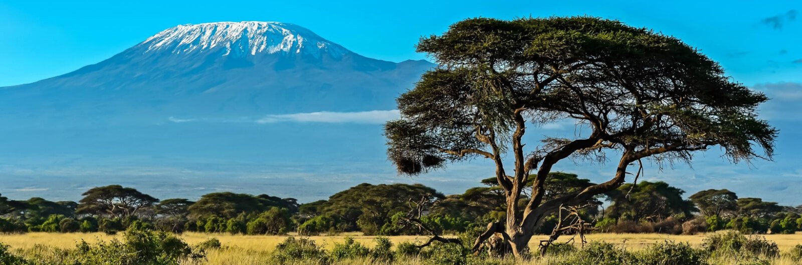 Kenya vacation packages