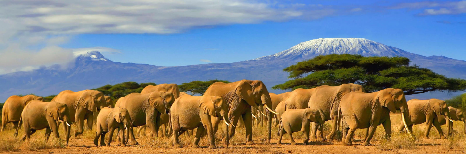 Tanzania vacation packages