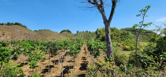 ITA Global: Tu socio aliado en Viajes de Incentivo con Impacto