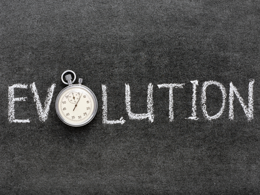 The Evolution Beyond Excess