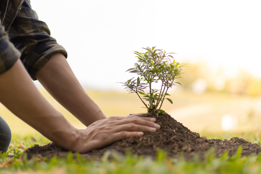 ITA Global: Your Alliance Partner in Impact Incentive Travel
