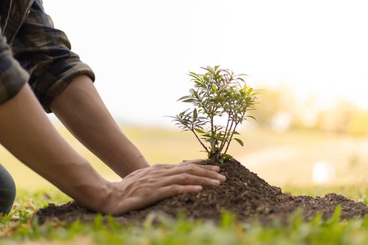 ITA Global: Your Alliance Partner in Impact Incentive Travel