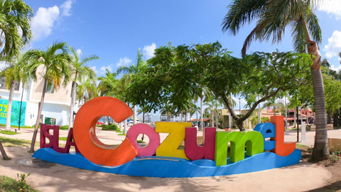 Mexico: Cozumel Buggy Experience - Shore Excursion