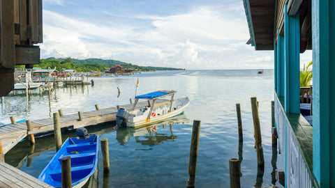 Honduras Roatan Island - West Island Tour - Shore Excursion